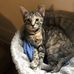 Drew Sandifer - Facebook