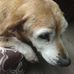 Drew Sarver - Facebook