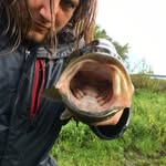 Drew Sauer - @drewsauer30 - Instagram