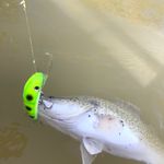 Drew Savage - @dsfishinght - Instagram