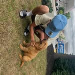 Drew Schafer - @drewbooo1 - Instagram