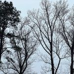 Andrew Schenk - @andrew_schenk - Instagram