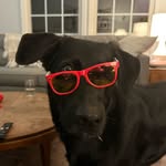 Drew Schiller - @drewschiller - Instagram