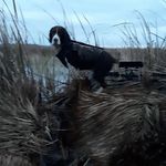 Drew Schiller - @drewschilleroutdoors - Instagram