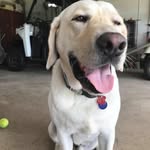 Drew Schillinger - @drew.schillinger.3 - Instagram
