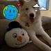 Andrew Schmitz - Facebook