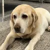 Drew Schwartz - @drew.12schwartz05 - TikTok