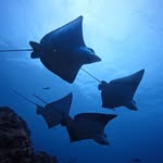 Andrew Scoggin - @asco_ggin - Instagram
