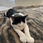 Andrew Selby - @andrewselby1948 - Instagram