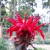 Andrew Sheldon - Facebook