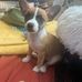 Drew Shoemaker - Facebook