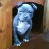 Drew Short - @drew.short5 - TikTok