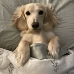 Drew Short - @drewcshort - Instagram