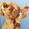 Drew Smith - @drew_smith07 - TikTok