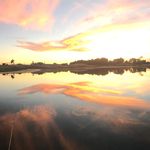 Drew Stahlecker - @drewstahlecker - Instagram