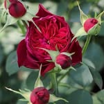 Andrew Steffen - @andr_ewsteffen - Instagram