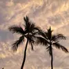 Andrew Steinbach - @lovfrst - TikTok
