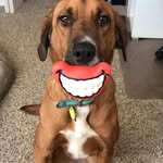 Drew Stephens - @drew_stephens_ - Instagram