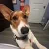 Drew Stephens - @drewstephens13 - TikTok