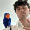 Drewstocks - @drewn8n - TikTok