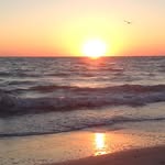 Drew - @drewstorms11 - Instagram