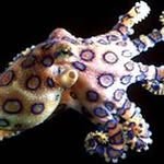 Andrew Strand - @andrewstrnd - Instagram