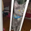 drewstrong - @drewstrong01 - TikTok