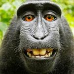 Andrew Stull - @refridgerator222 - Instagram