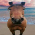 Andrew Sunderland - @andrewloves670 - Instagram