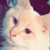 drew_sweeney - @drew_sweeney - TikTok