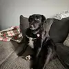 drewmmrswi2 - @drew.sweeney1 - TikTok