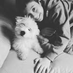 patrick the llama - @an.drewsweeney - Instagram
