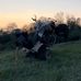 Andrew Tedesco - Facebook