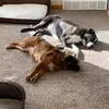 Drew Kull - @drew.kull - TikTok