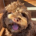 Drew Templeton Griffin - @charlesbarkleeee - Instagram