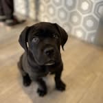 drew terp - @drew.terp - Instagram