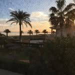 Andrew Thaler - @drewthaler1 - Instagram