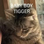 Drew Armstrong - @drewthebouncer - Instagram