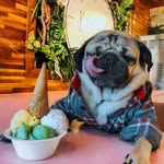 Drewtheboss11 - @drewtheboss11 - Instagram