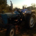 Drew Thibodeaux - @dthib224 - Instagram