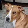Drew Thibodeaux - @drew.thibodeaux0 - TikTok
