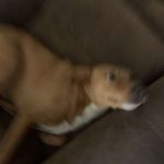 Drew Thibodeaux - @thibodeaux_drew - Instagram