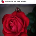 Tionee Drey🇿🇦🇿🇦 - @tionee_drey - Instagram