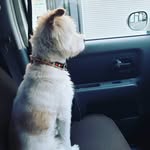 Drew Titus - @nomaddrew - Instagram