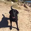 Drew to the Rescue - @drew.to.the.rescu - TikTok