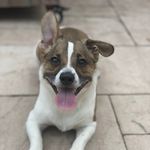 Drew Toth - @drews_jax - Instagram