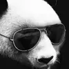 panda 🐼  - @drewtotheb - TikTok