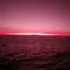 drewgrantham972 - @drewgrantham972 - TikTok