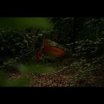 Drew Tucker - @drewtucker_photos - Instagram