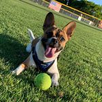 Drew Tucker - @drew_tuck - Instagram